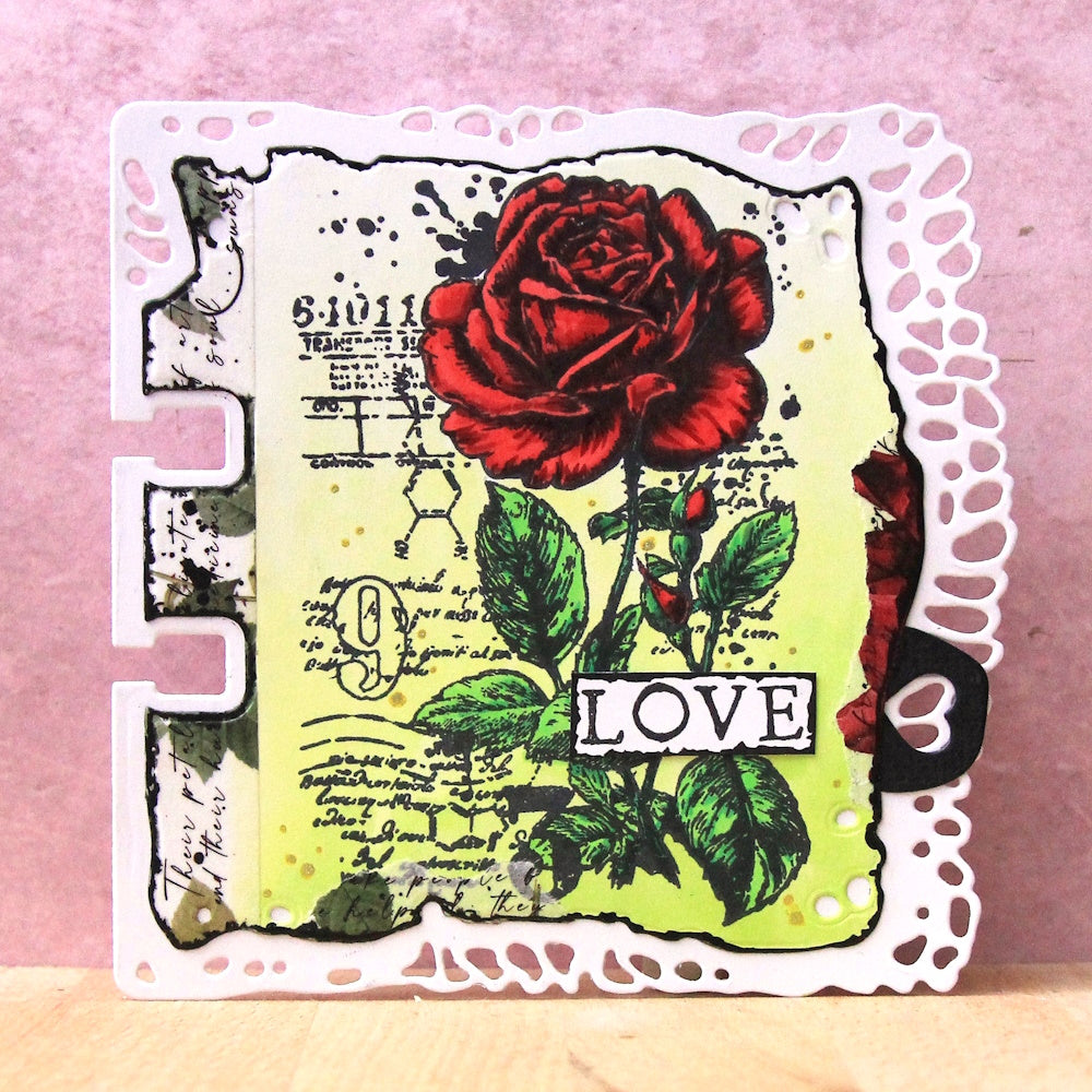 Nature's Impressions Stamp Bundle
