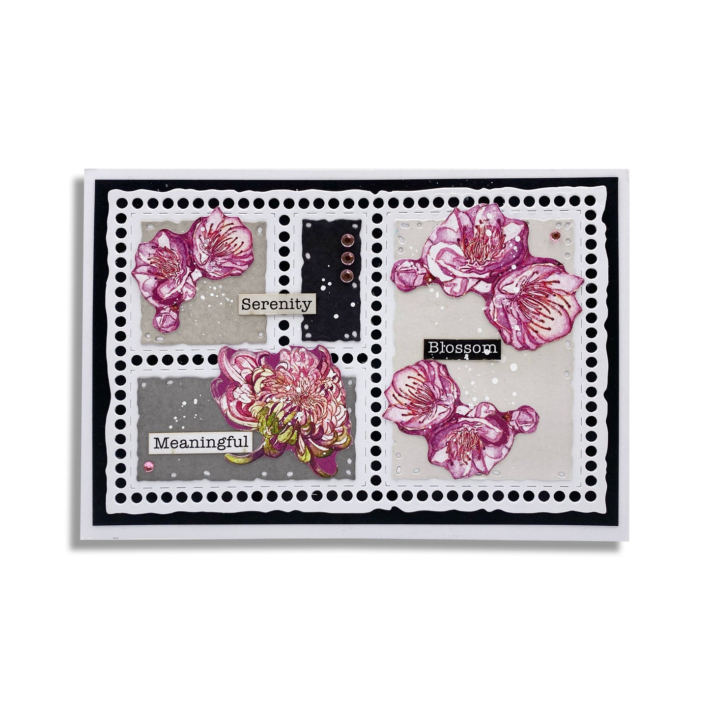 Polygon Parallel - Die Bundle