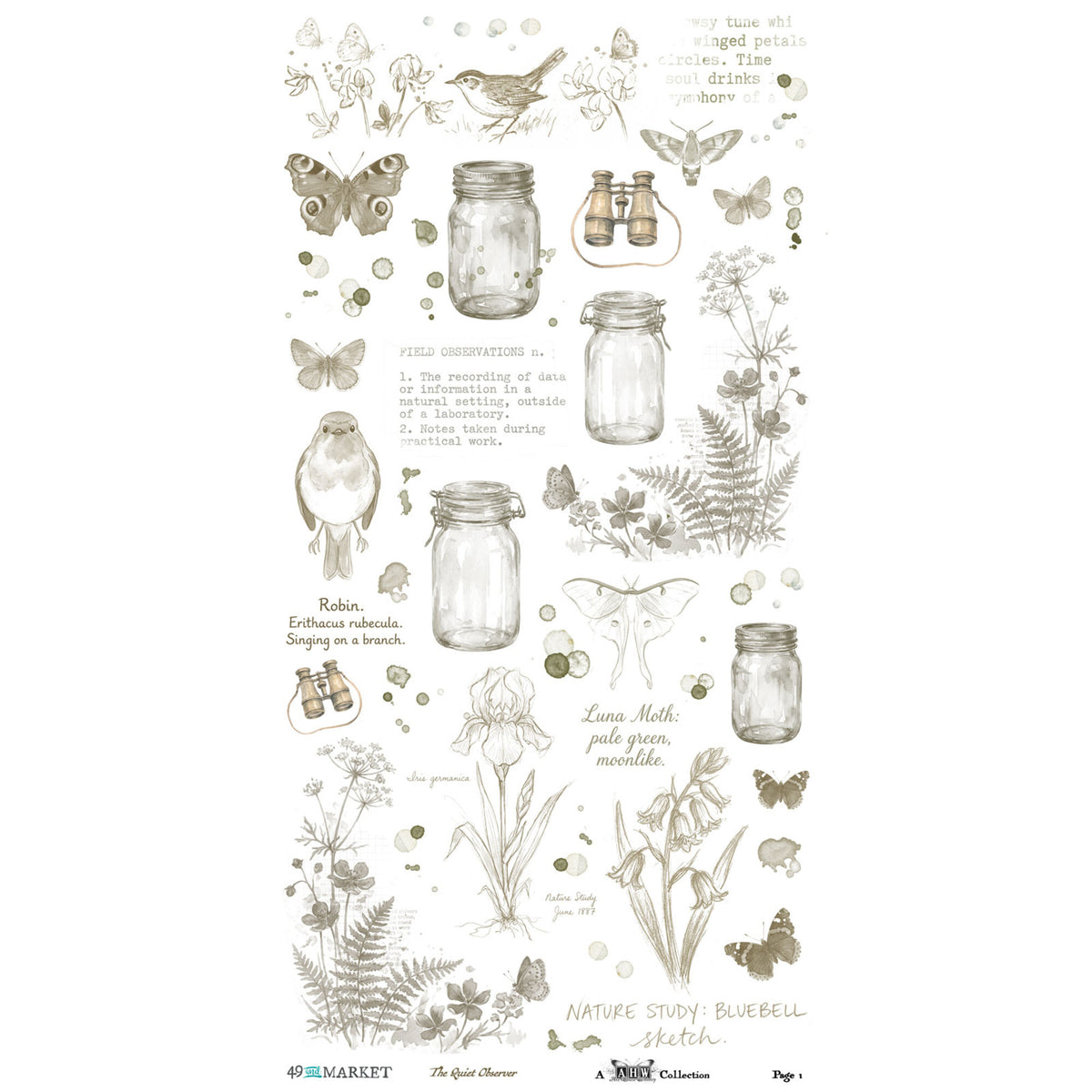 49 And Market The Quiet Observer 6x12 Inch Essential Rub-on Transfer Set by Arthouse Whimsy