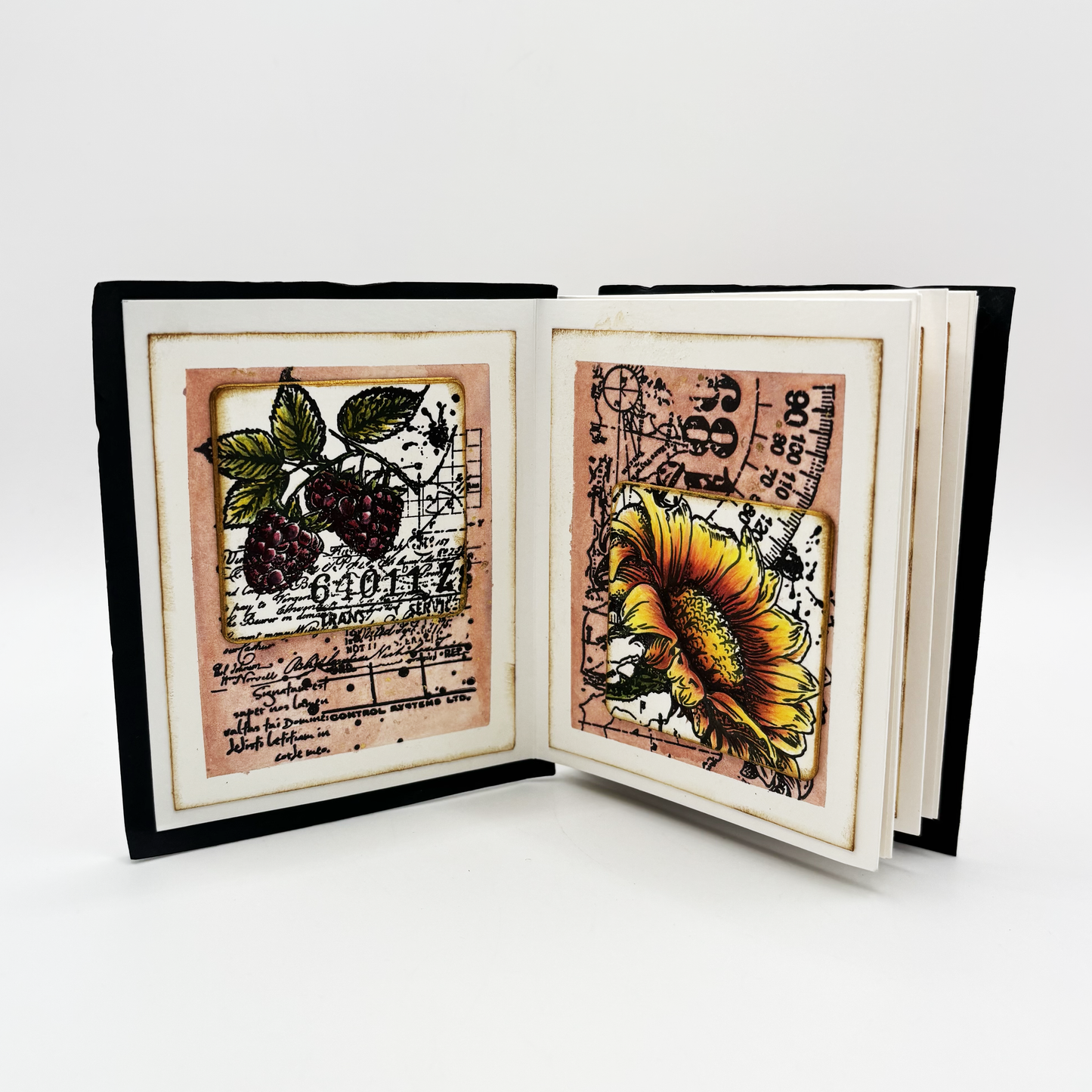 #1250 - A6 Stamp Set - Sunny Splash
