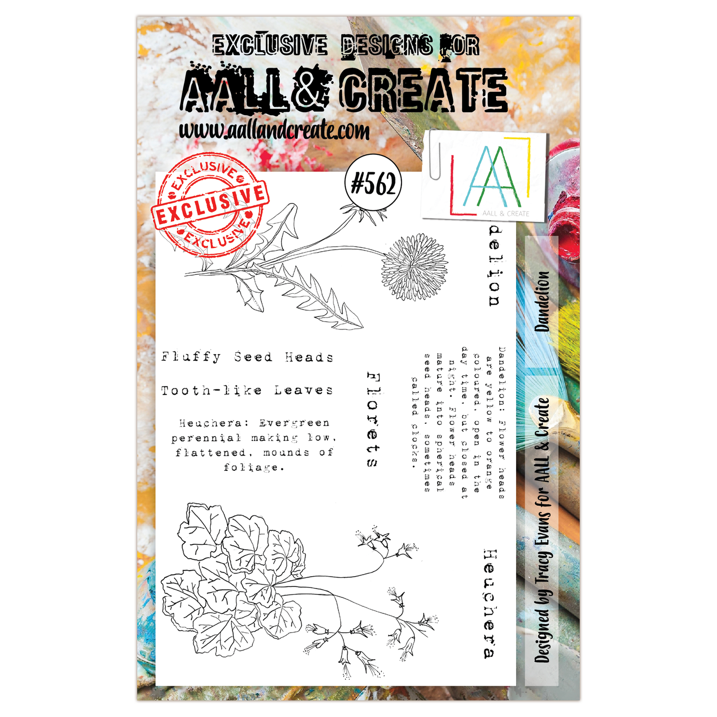 #562 - A5 Clear Stamp Set - Dandelion