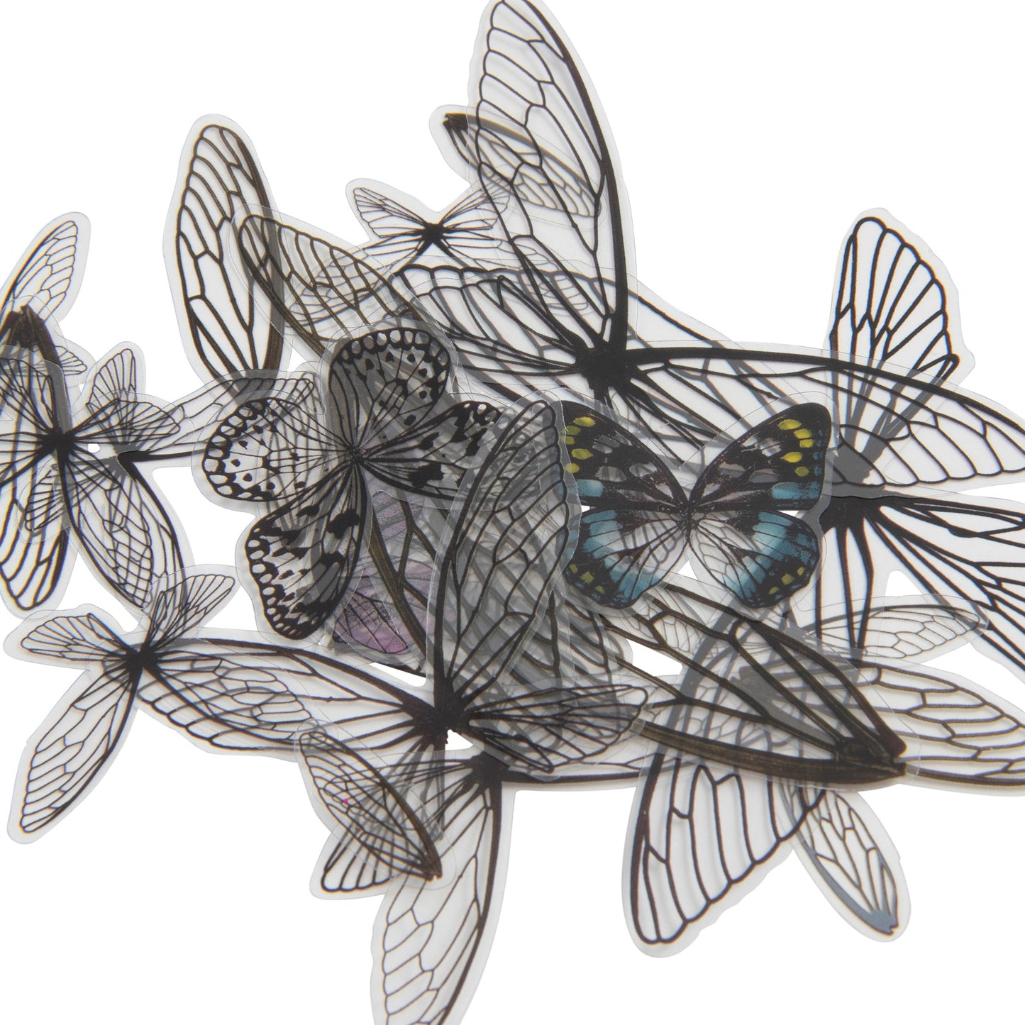Idea-ology Tim Holtz Transparent Acetate Wings - 72 Pcs