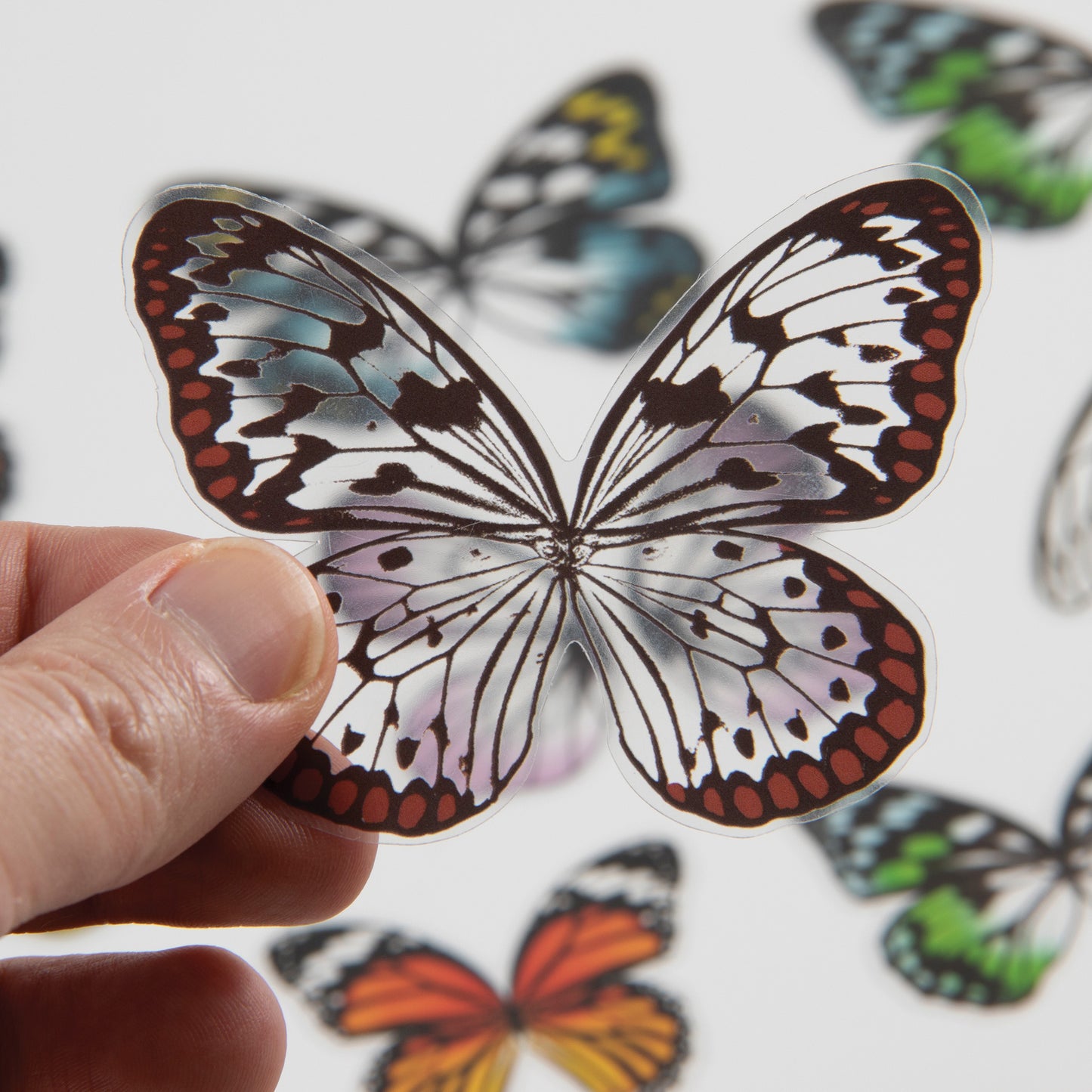 Idea-ology Tim Holtz Transparent Acetate Wings - 72 Pcs