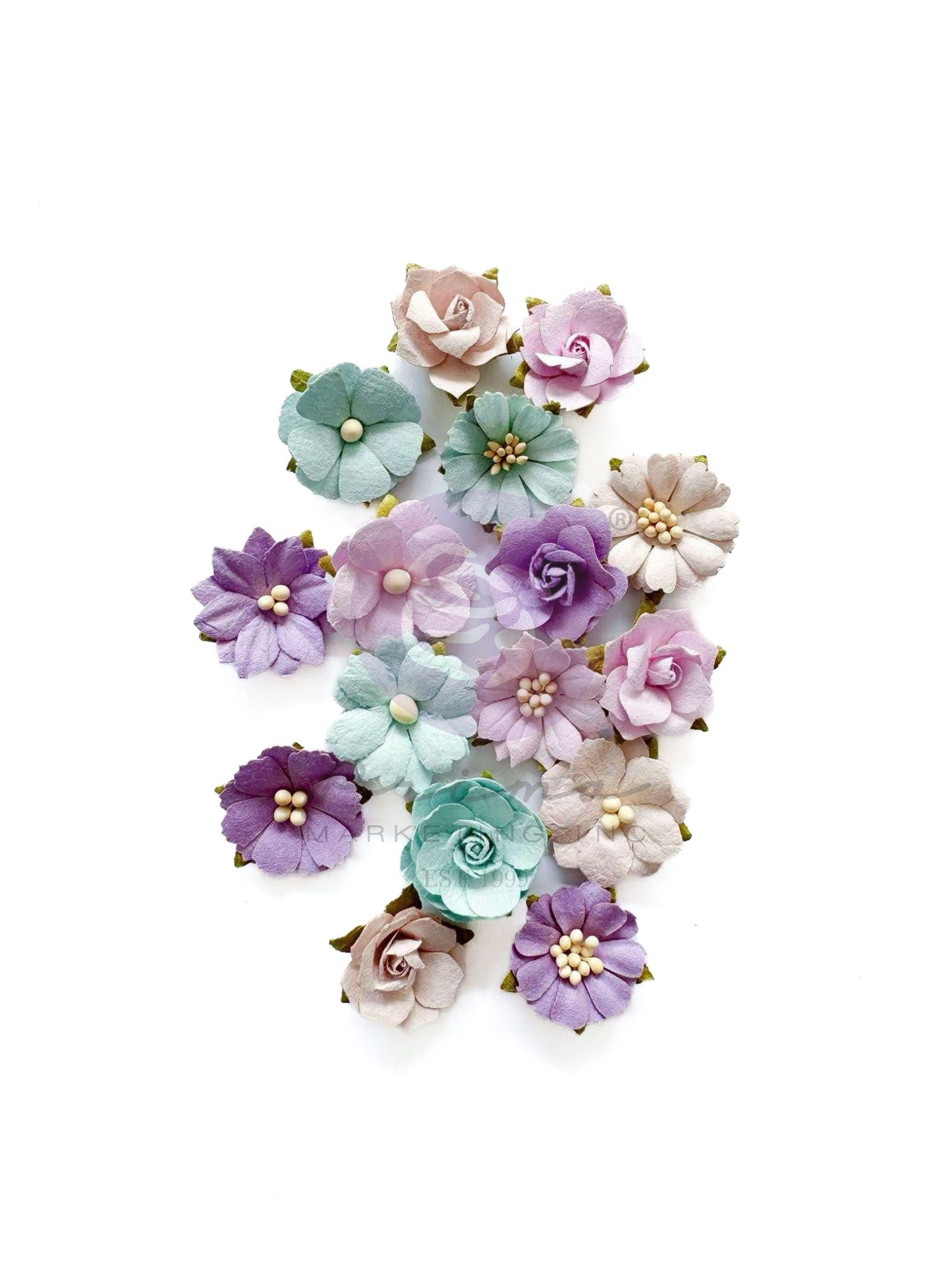 ce20061d24cf019aad5464fa81b9f112