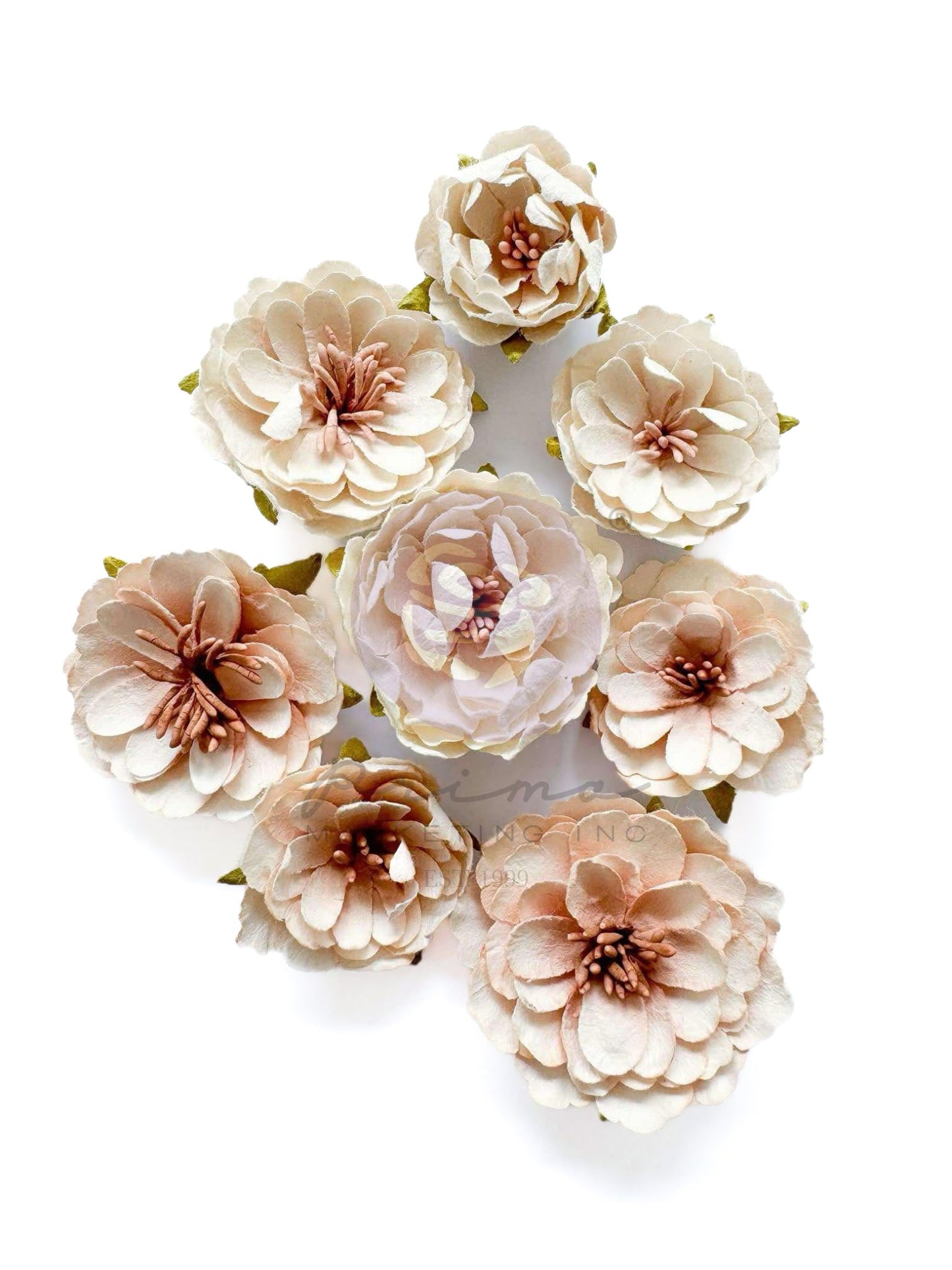 b6e29b0fb0fd384376e7e574ad1afc97