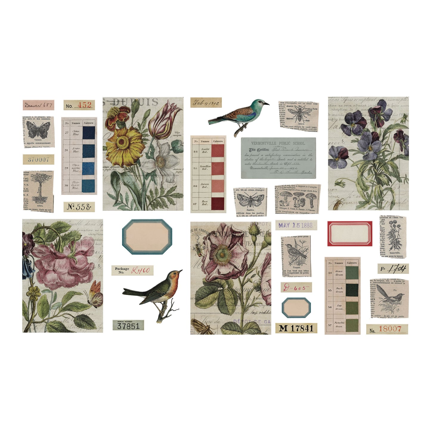 Idea-ology Tim Holtz Transparent Things 2-33/Pkg