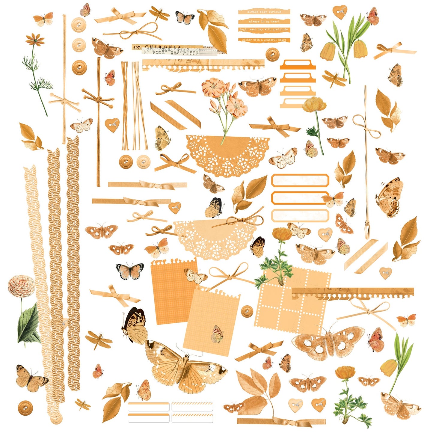 49 And Market Color Swatch: Peach Laser Cut Outs - Elements