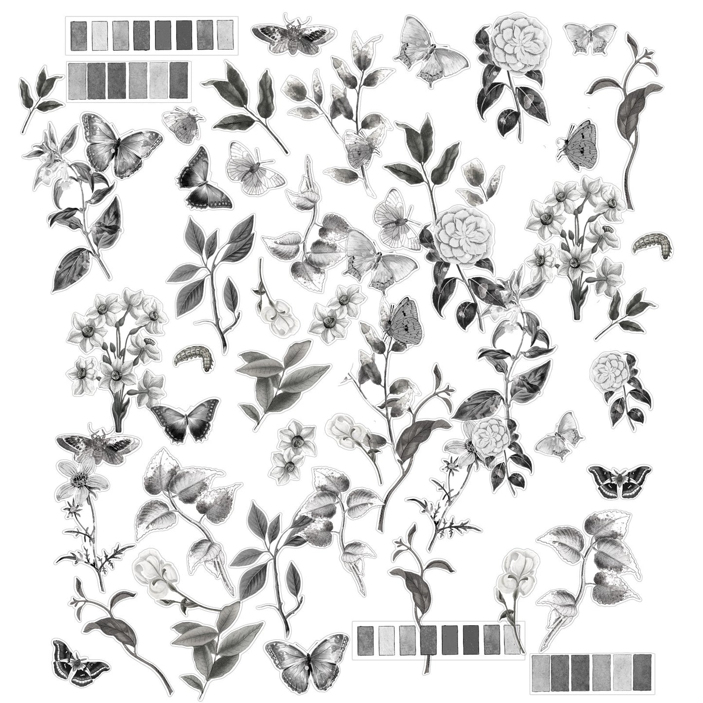 49 And Market Color Swatch: Charcoal Acetate Assortment - 58 Pcs