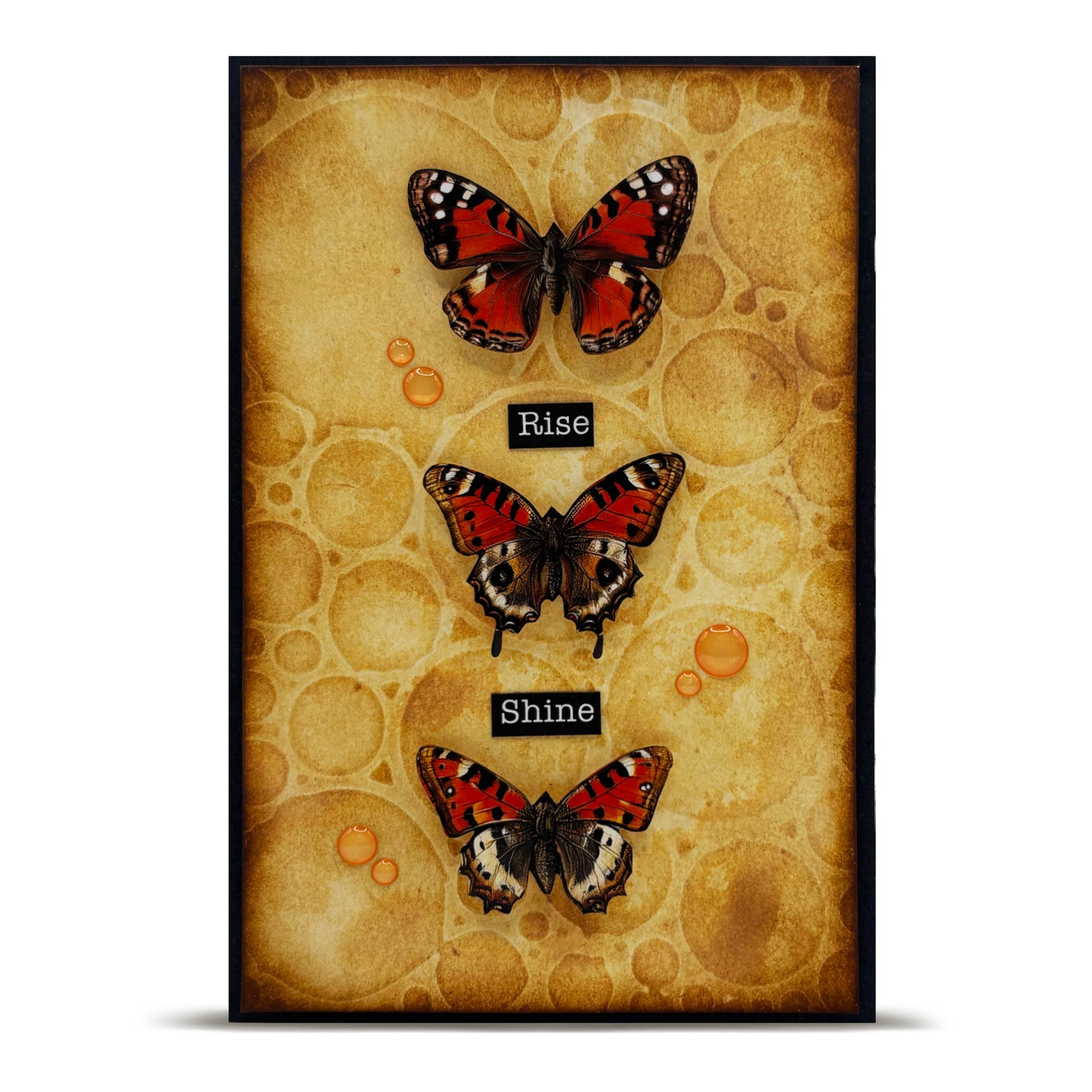 Meadow Bloom Ephemera Die Cuts Bundle