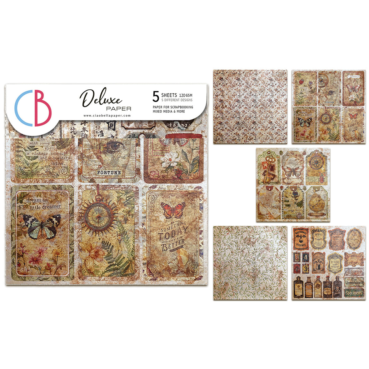 Ciao Bella Cabinet of Curiosities 6x6 Inch Deluxe Paper Pearl-Copper (5pcs)