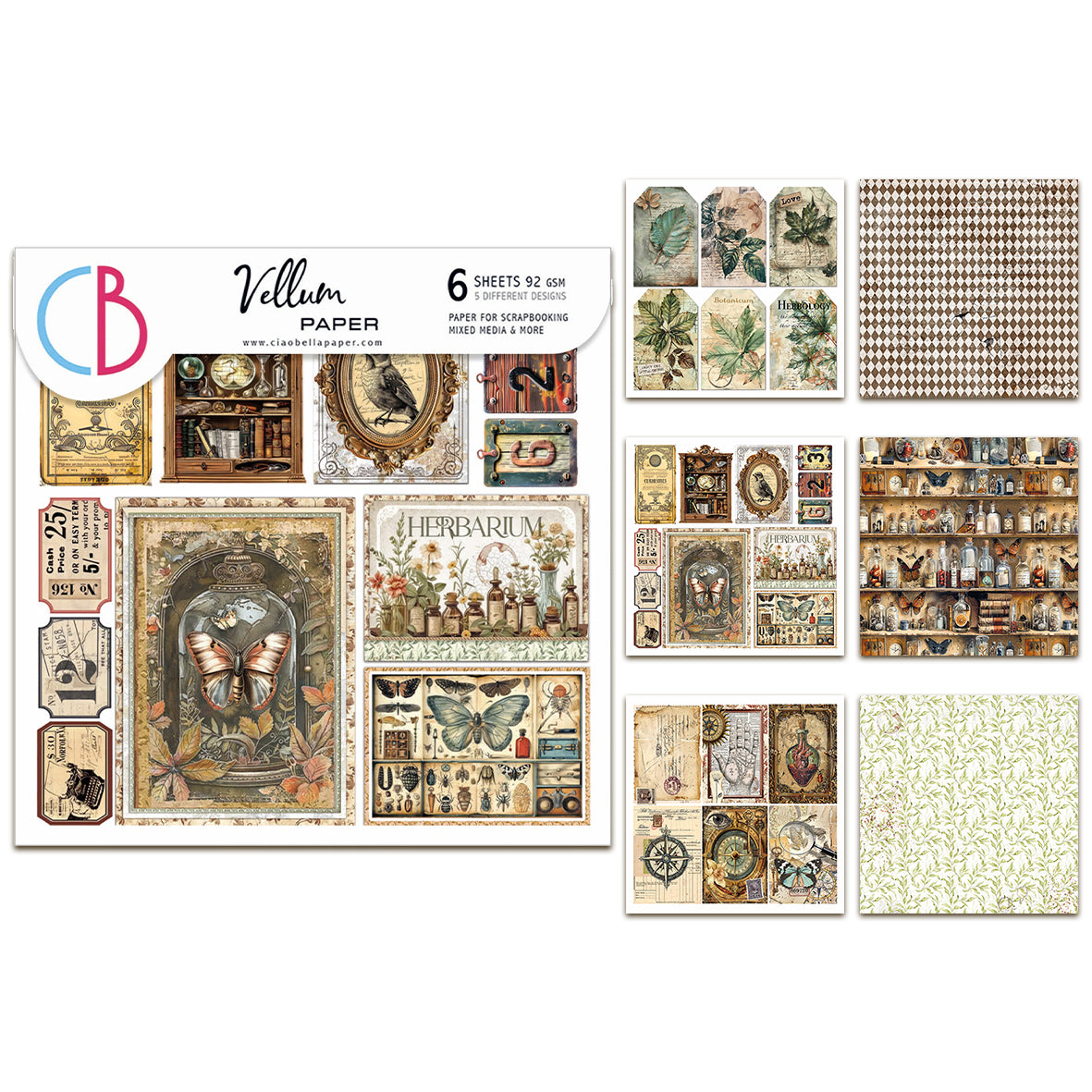 Ciao Bella Cabinet of Curiosities 6x6 Inch Vellum Fussy Cut (6pcs)
