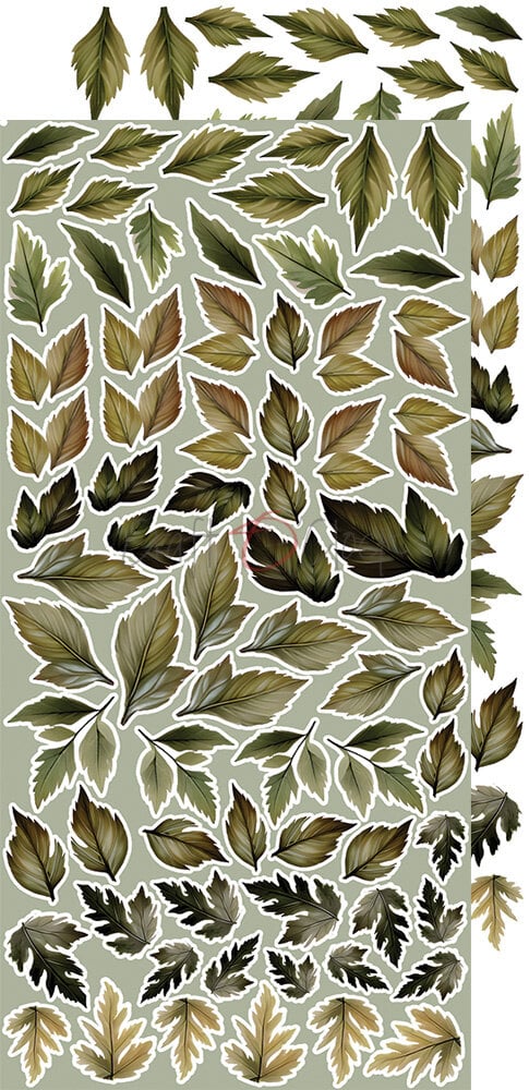 14bf00ce489e05a8bd3397e580379354