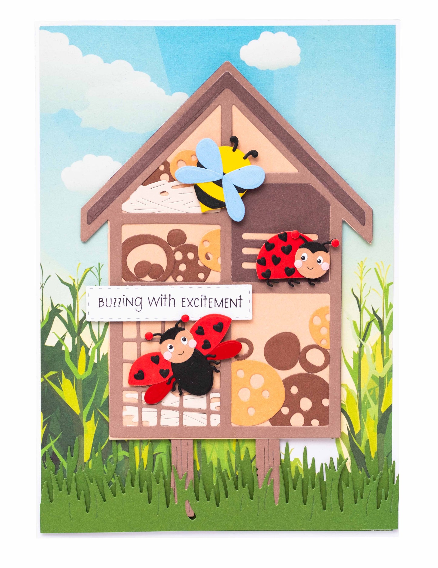 77823ce59de08d69f57fc4d05a0fb2eb