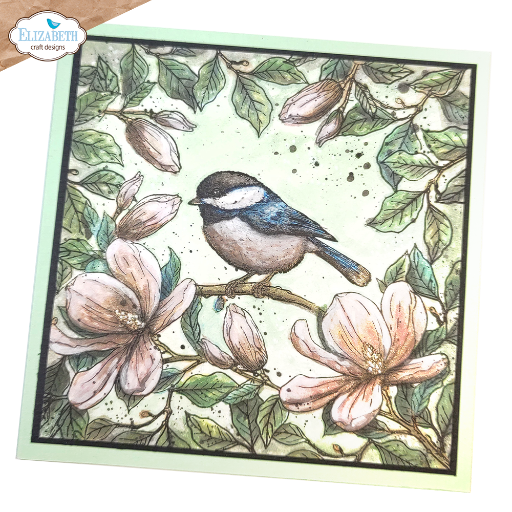 e0564e3cea755abd3ae1752836ba6789