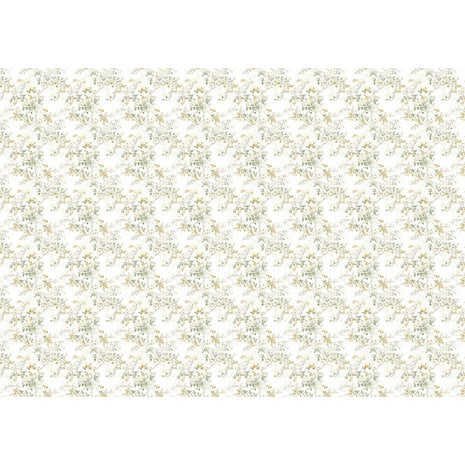 Ciao Bella Tissue Paper 69x49cm Pure Elegance