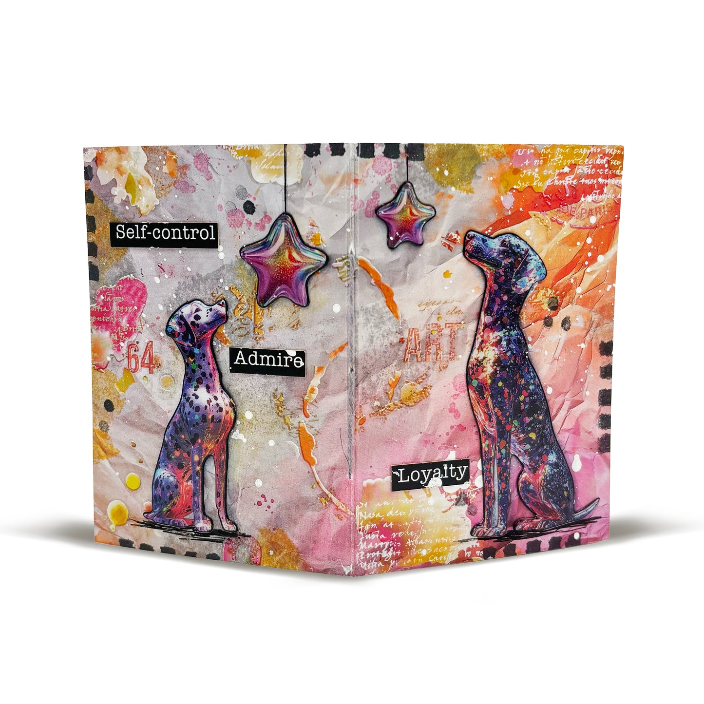 Creative Box Bundle