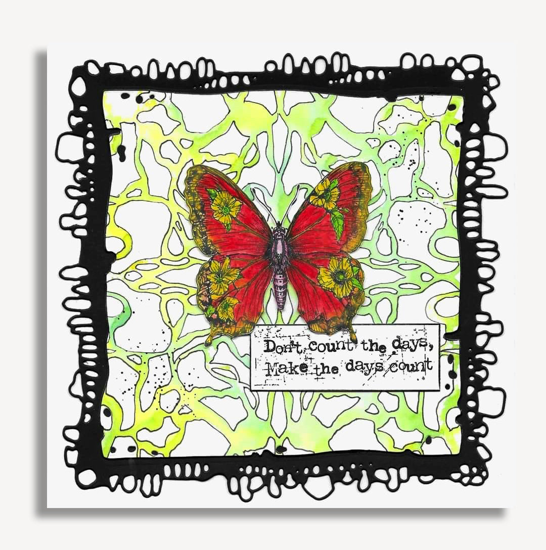 Fluttering Flora Collection