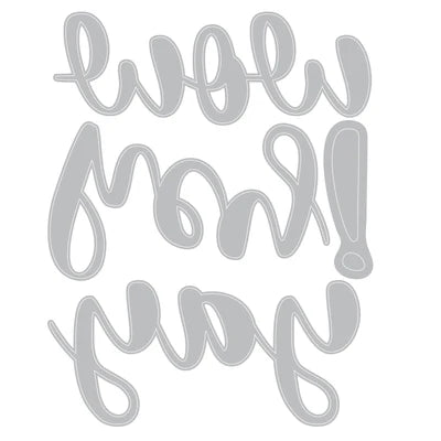 Sizzix Thinlits Die Bundle by Catherine Pooler