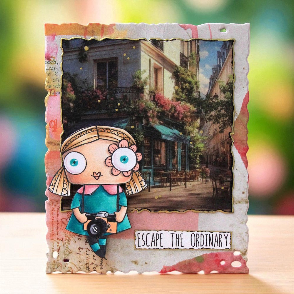 Snippets & Snapshots Die Bundle