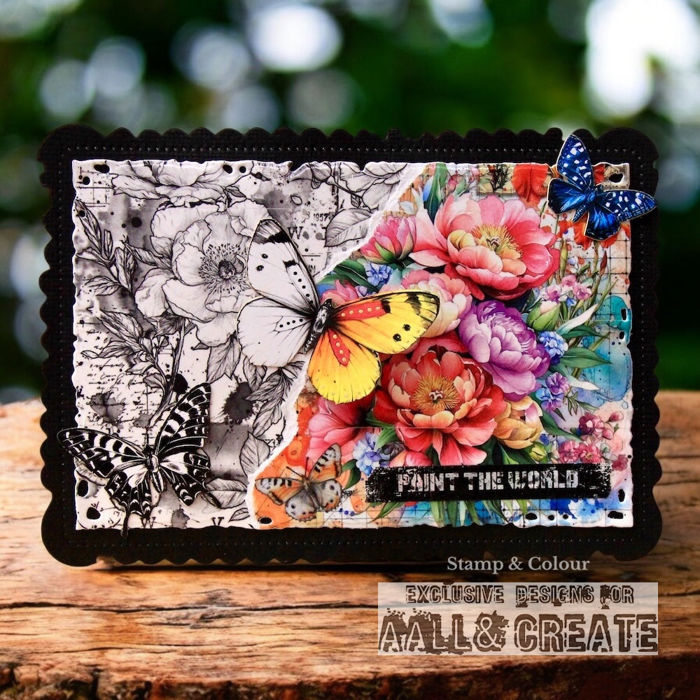 #PCK-MG1 - Collection Pack - Monochrome Garden