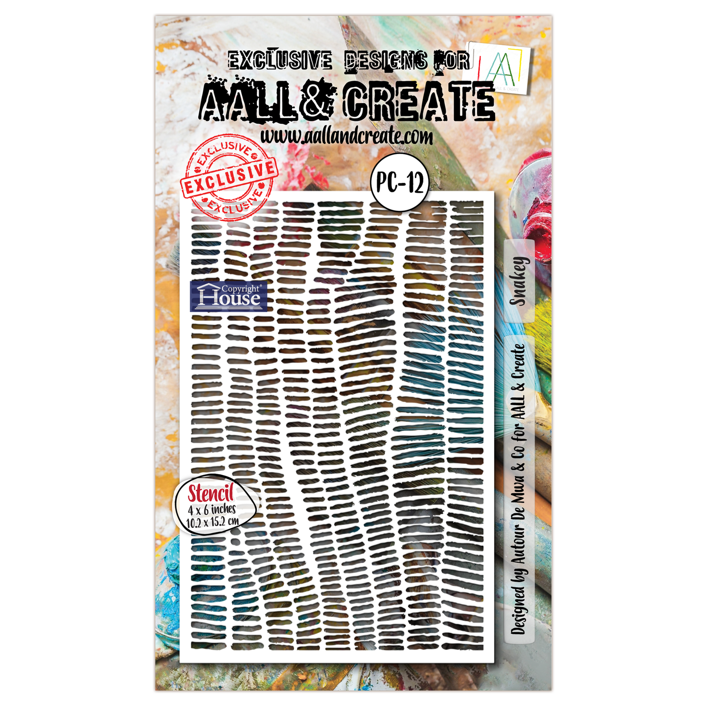 PC-12 - 4"x6" Stencil - Snakey