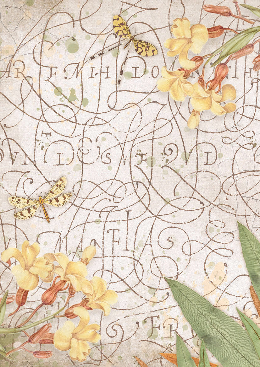 Stamperia Pack 6 assorted acetate sheets Romantic Garden House