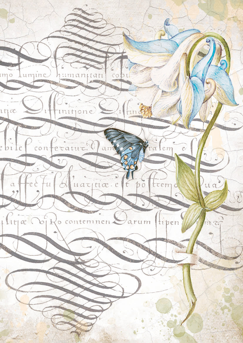 Stamperia Pack 6 assorted acetate sheets Romantic Garden House