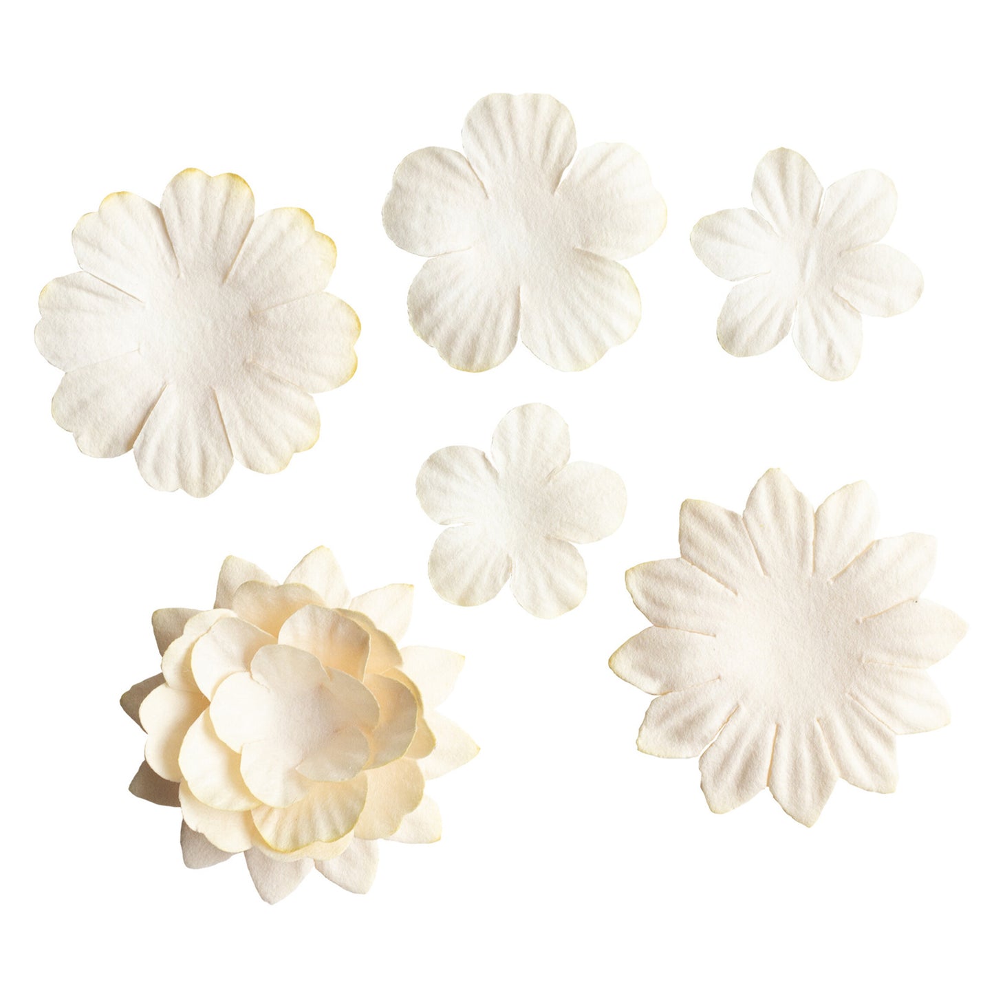 Studio Light Cream Essentials Paper Flowers (25pcs)