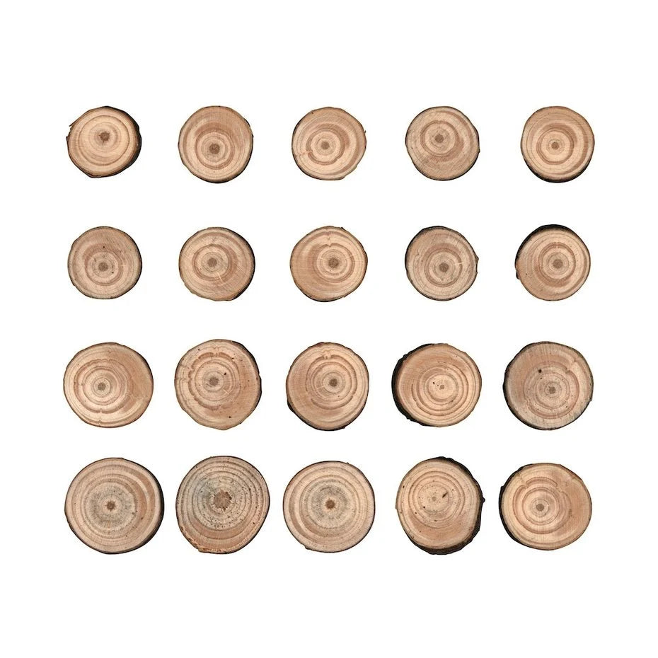 Idea-ology Tim Holtz Wood Slices (20pcs)