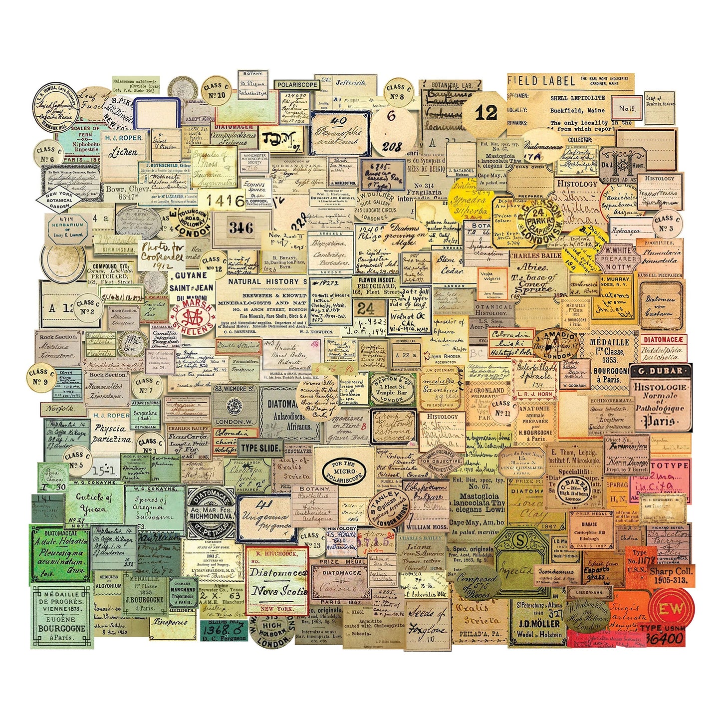 Idea-ology Tim Holtz Ephemera Snippets 233 Pcs - Curator