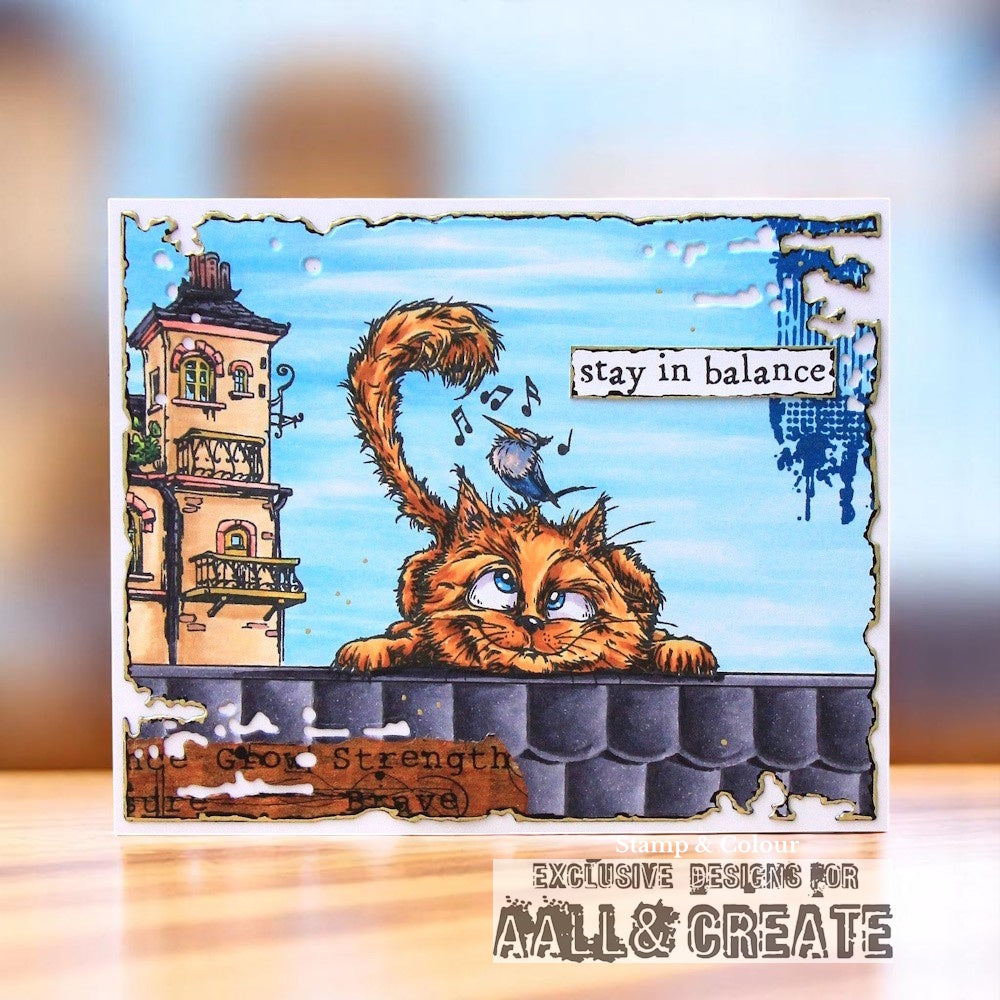 #1274 - A6 Stamp Set - Curious Roofer