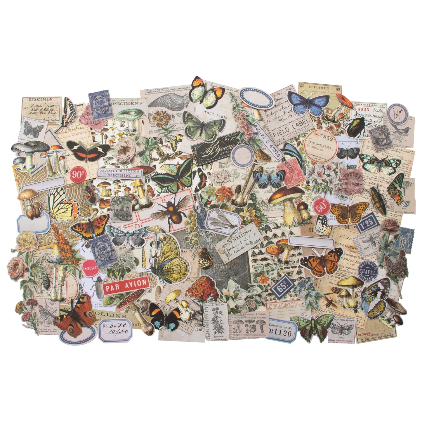 Idea-ology Tim Holtz Ephemera Pack 134 Pcs - Field Notes