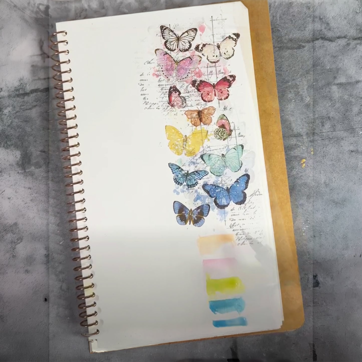 Lindy's Gang Katie Pertiet's Field Notes Magical Shaker 2.0 SET