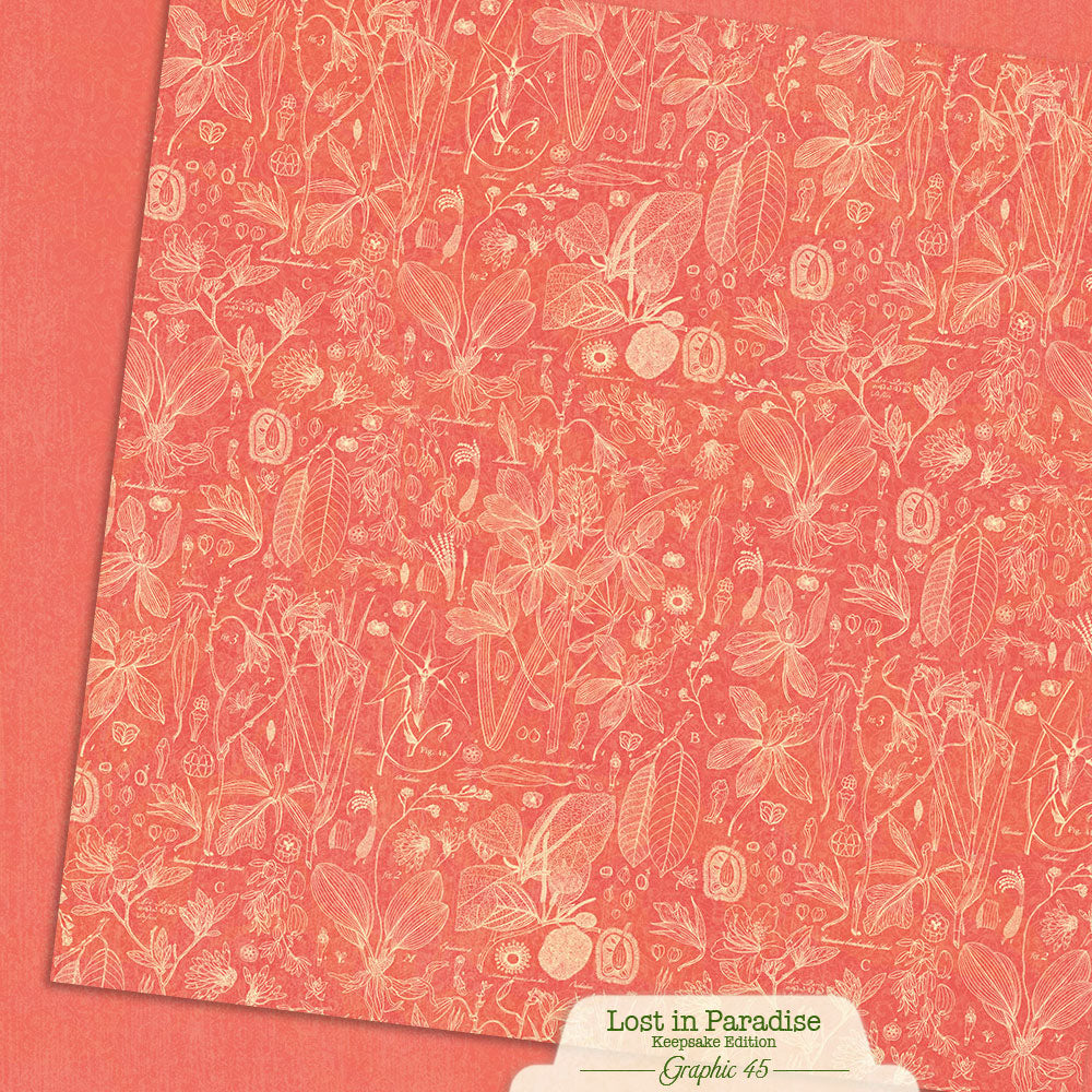 Graphic45 Lost in Paradise - Updated Keepsake Edition Preorder*