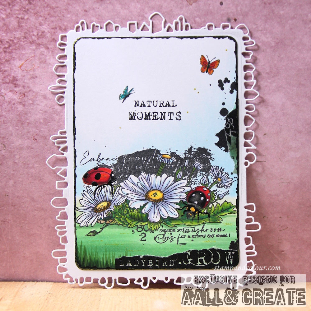 #1080 - A7 Stamp Set - Mystical Meadows