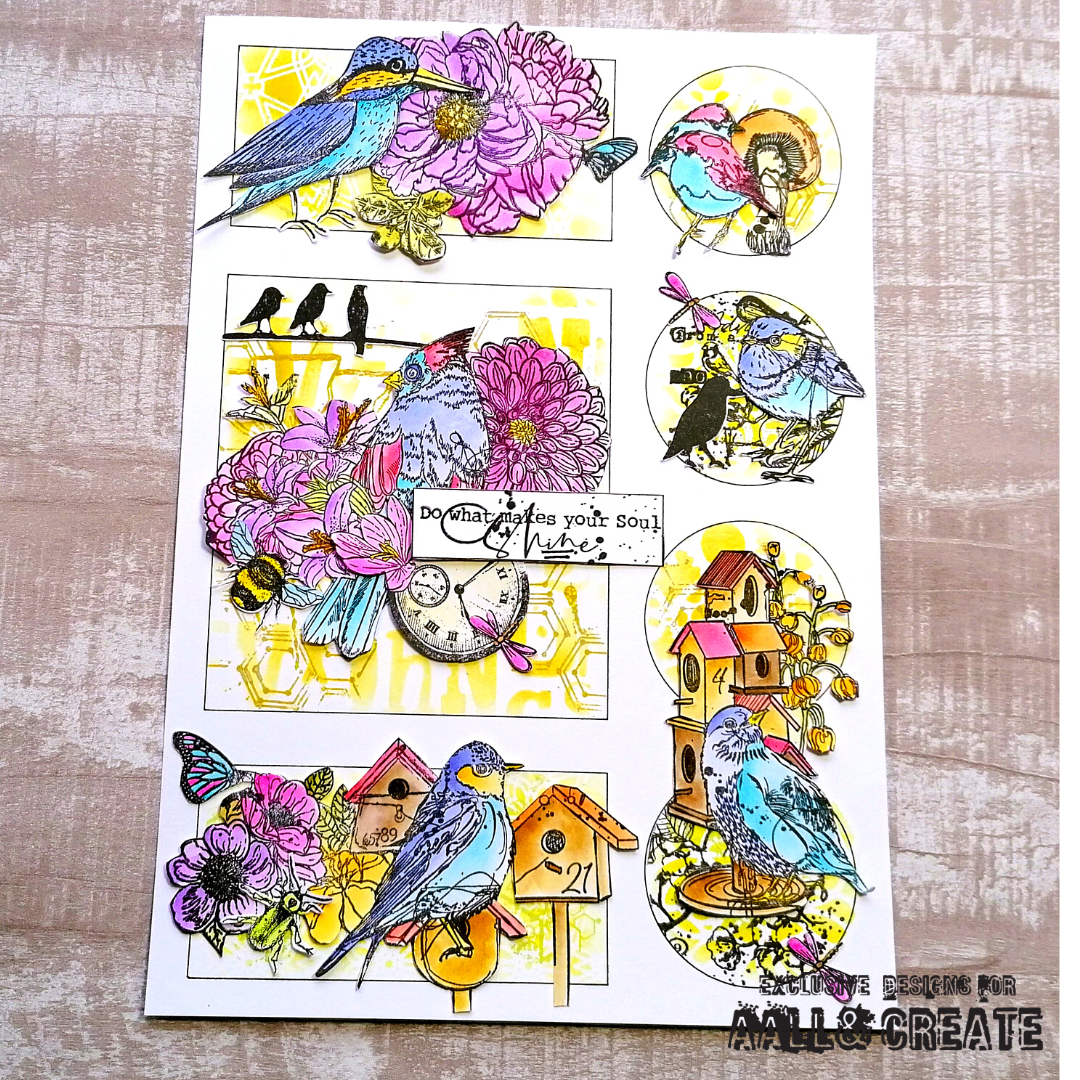 TP-744 - A5 Clear Stamp Set - Be A Little Flashy