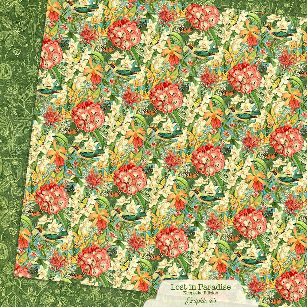 Graphic45 Lost in Paradise - Updated Keepsake Kit with Metal Die-Set Preorder*