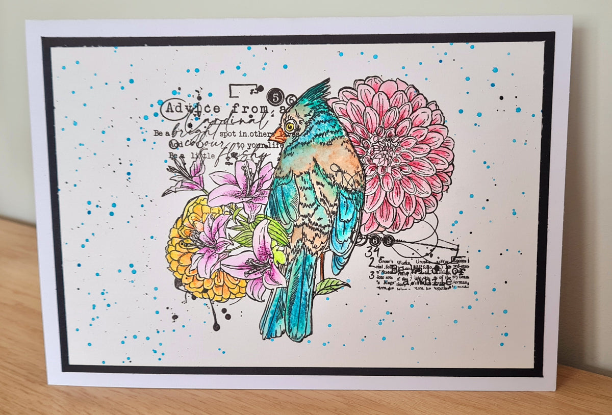 TP-744 - A5 Clear Stamp Set - Be A Little Flashy