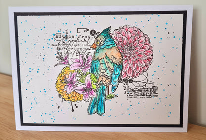 TP-744 - A5 Clear Stamp Set - Be A Little Flashy