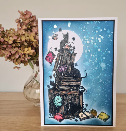 TP-793 - A5 Clear Stamp Set - Bad Cats Club