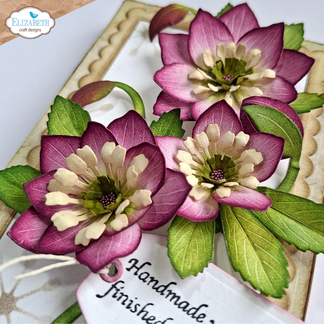 Elizabeth Craft Designs April 2026 Beautiful Blooms Complete Collection (Save £16)