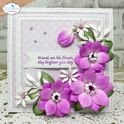 Elizabeth Craft Designs April 2026 Beautiful Blooms Complete Collection (Save £16)