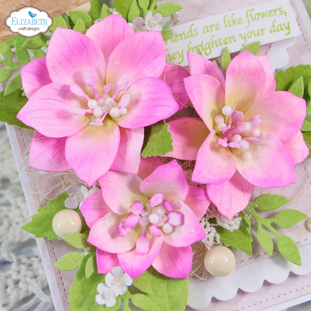 Elizabeth Craft Designs April 2026 Beautiful Blooms Complete Collection (Save £16)