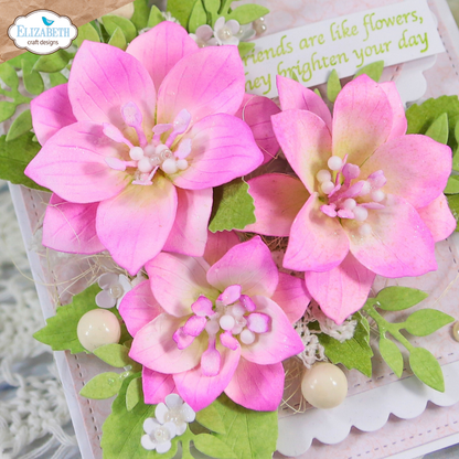 Elizabeth Craft Designs April 2026 Beautiful Blooms Complete Collection (Save £16)