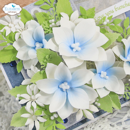 Elizabeth Craft Designs April 2026 Beautiful Blooms Complete Collection (Save £16)