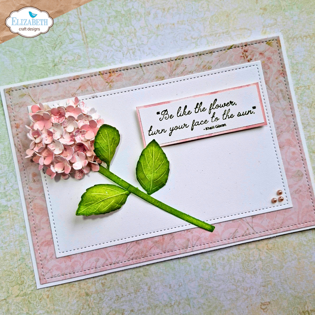Elizabeth Craft Designs April 2026 Beautiful Blooms Complete Collection (Save £16)