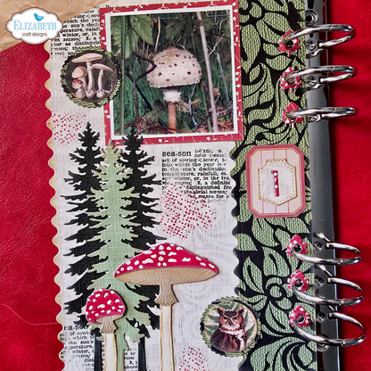 Elizabeth Craft Designs Cozy Comfort Complete Collection (Save £20) Preorder*