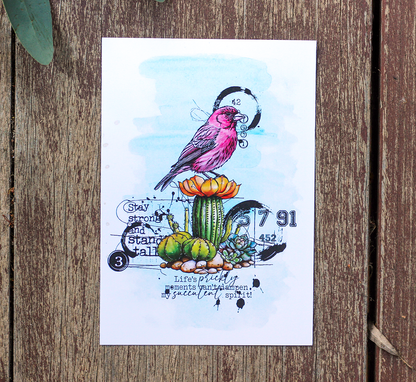 #1073 - A6 Stamp Set - Botanical Bliss
