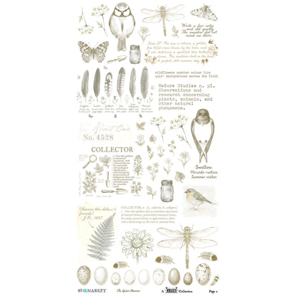 49 And Market The Quiet Observer 6x12 Inch Essential Rub-on Transfer Set by Arthouse Whimsy