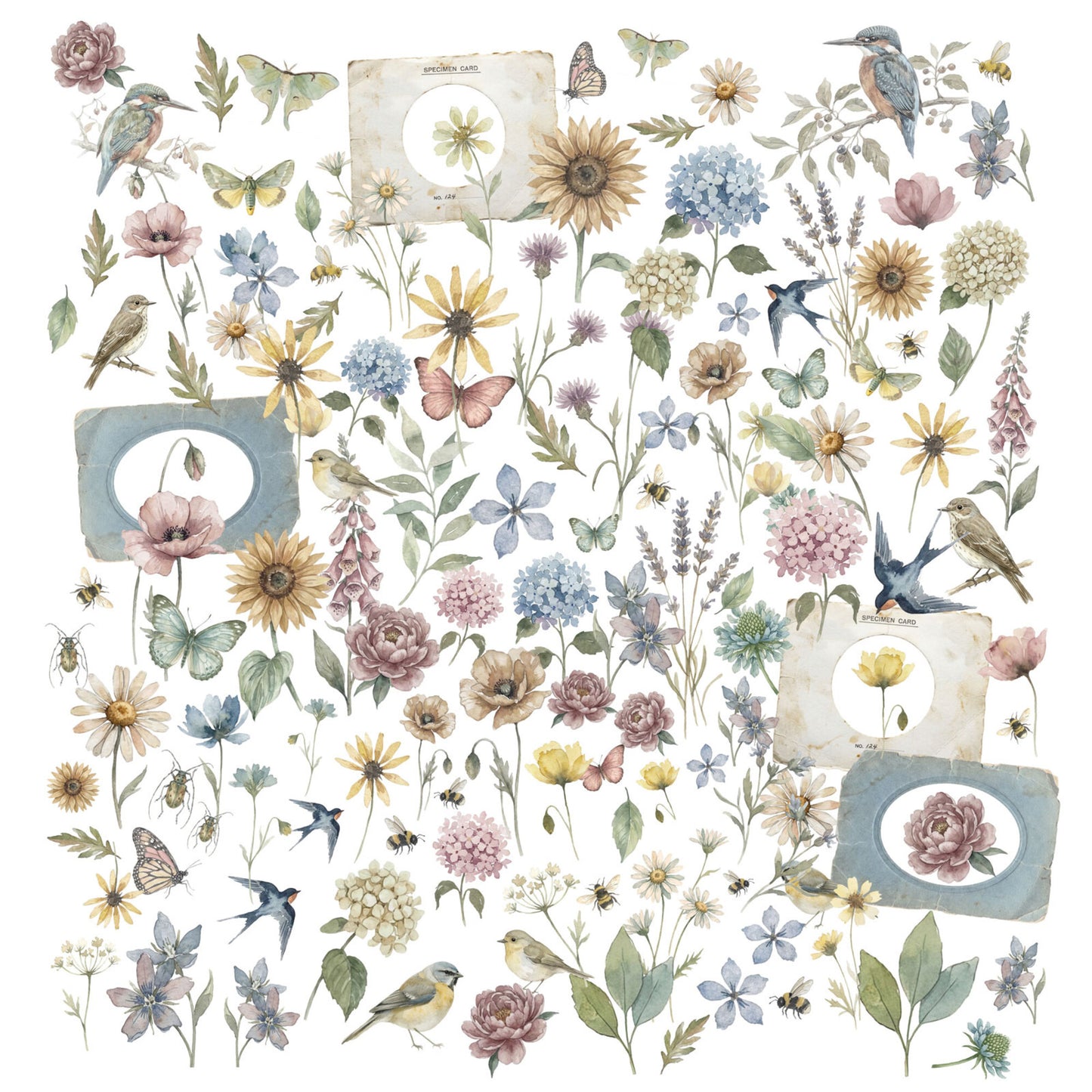 49 And Market The Quiet Observer Laser Cut Wildflowers by Arthouse Whimsy